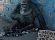 jour Quelle place pour animaux [ONG]