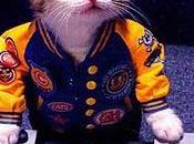 Ctiguidoo Music Relax..