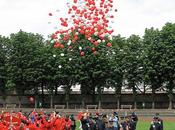 Jeux FAVA Samedi stade Chéron