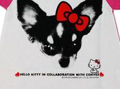 tshirt Hello Kitty avec chihuahua