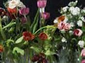 musique Saint Germain Prés