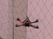Vidéo d’un robot hélicoptère miniature