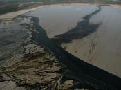 Marée noire dans Golfe Mexique point d’étape mobilisation