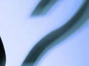 mystérieuse disparition chouchous...