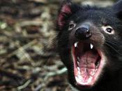 Pourquoi met-on main devant bouche lorsque l’on bâille