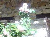 Juin triomphant CALFOUR