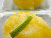Sorbet Ananas Miel Citron Vert