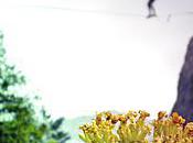 premiere highline haute alpine crash test