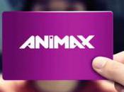 Animax Branding