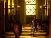 Wizzard Oz...Le casse-tête hollywoodien!!!!