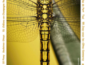 Balade estivale Photos Nature 2010