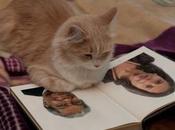 trois sénateurs réunionnais chez cancres