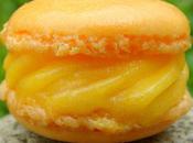 Macaron glacé sorbet mangue
