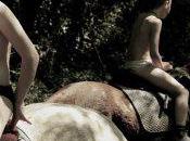 Plateform Magazine ligne