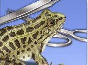Frog Dissection exemple manuel biologie numérique
