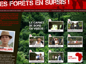 Congo Marion Cotillard face pillage forêts congolaises