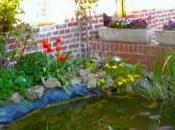 étape ferme dans Nord Calais, chez Francine