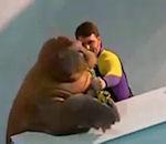 morse joue saxophone