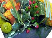 Saison fleurs, interflora Lons Saunier