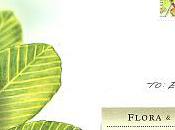 Flore Singapour