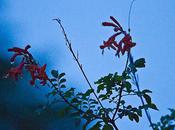 vrai dimanche d'automne