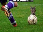 Apple, première marque désengagée médias sociaux