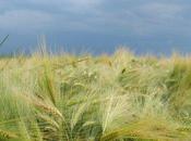 plains temps jeunesse