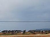 espagne énergies renouvelables