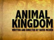 Animal Kingdom Regardez première bande annonce
