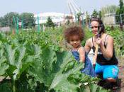jardins communautaires