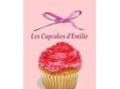 Cours cuisine domicile Bourgogne Émilie, Cupcakes Fingerfood