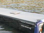 Pigeon vole… autocar nage