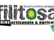 Foire Artisanale Agricole Filitosa week-end.