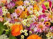 Bouquets fleurs d'été,