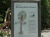 Blowing Rock Preserve