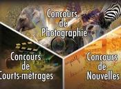 Concours Photos, Nouvelles Courts-métrages piston, talent!