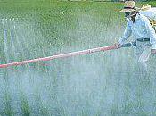 pesticides goji bio, effets modes d'actions.