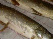 Journee peche famille