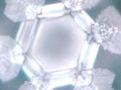 Billetterie pour représentation théâtrale!