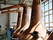 Hourrah Ecosse voitures vont «rouler bourrées»… whisky