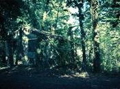 Photo "les fêtes imprévues" Daphné