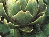 samaritain C'est quoi