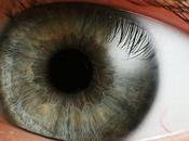 L'IMAGE JOUR: Oeil humain