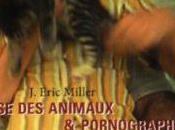 Défense d'animaux pornographie