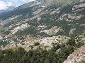 Devoirs vacances: accro-branches encore toujours…