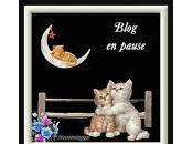 Blog pause