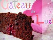 Gâteau Lucie Chocolat Framboises