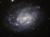 Superbe photo galaxie spirale 300, semblable Voie Lactée