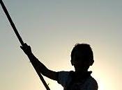 nuit, tant chats sont gris