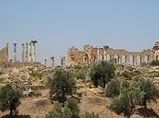 ruines romaines Volubilis